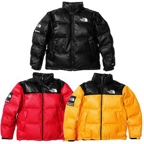 supreme north face puffer jacket